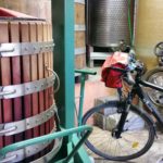 Les nouvelles tendances du vin - atelier Découverte @ Le Vin des Alpes | Grenoble | Auvergne-Rhône-Alpes | France